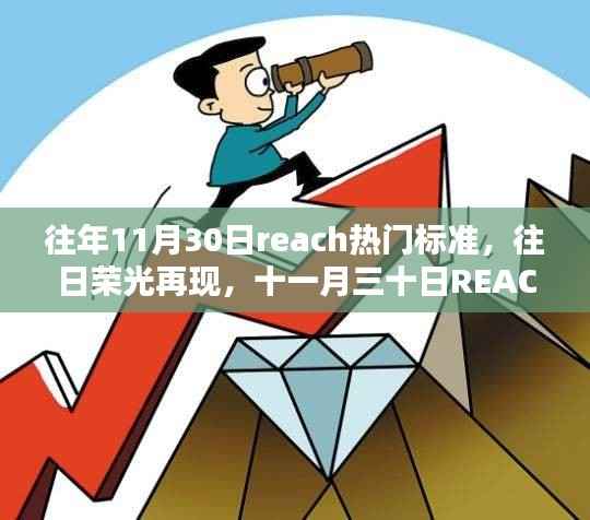 十一月三十日REACH标准的诞生与影响,再现往日荣光,引领行业新趋势