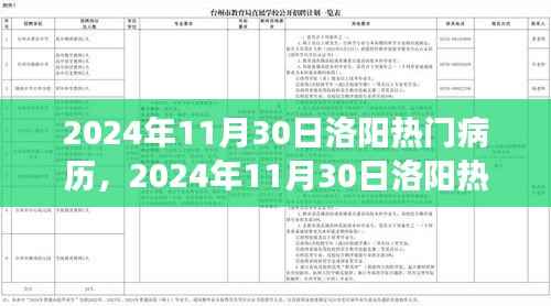 聚焦观点之争，洛阳热门病历深度解析与探讨（2024年11月30日）