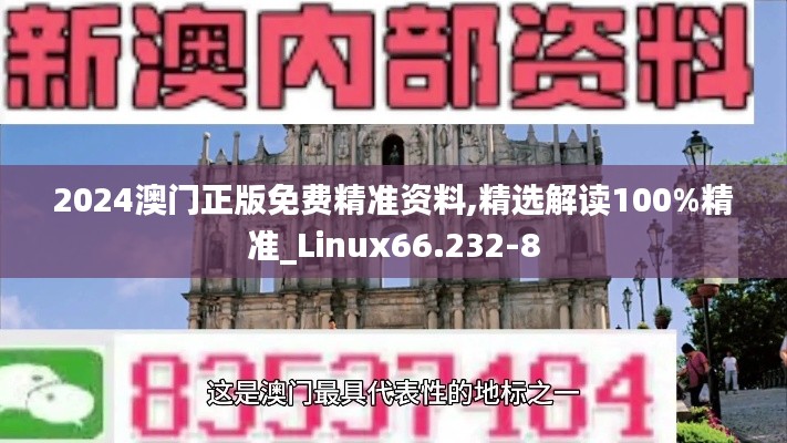 2024澳门正版免费精准资料,精选解读100%精准_Linux66.232-8