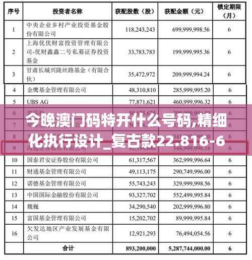 今晚澳门码特开什么号码,精细化执行设计_复古款22.816-6