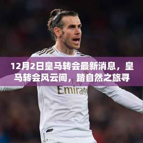 飞沙走石 第6页