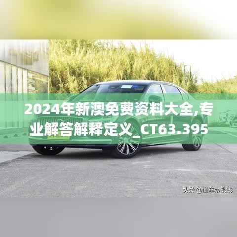 2024年新澳免费资料大全,专业解答解释定义_CT63.395