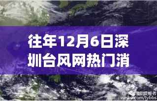 历年台风背后的故事,深圳隐秘小巷风味秘境的探寻与揭秘