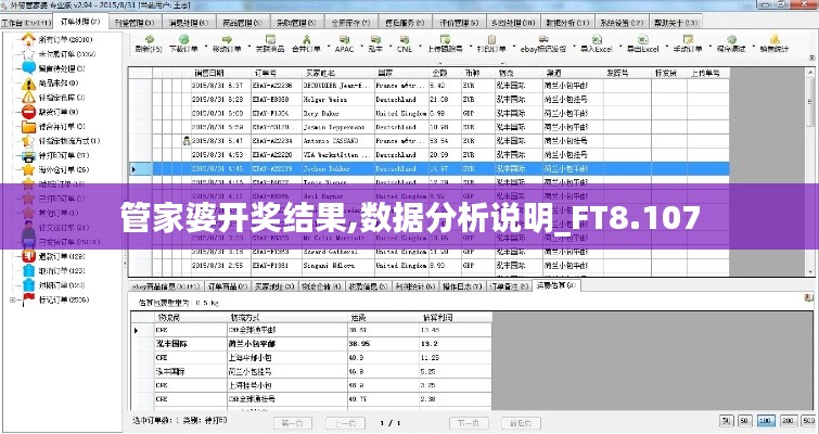 管家婆开奖结果,数据分析说明_FT8.107