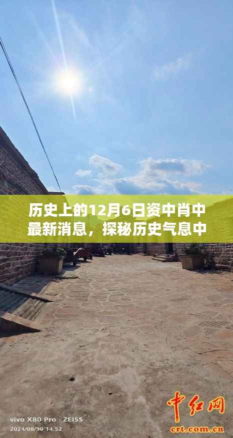 一花独放 第5页