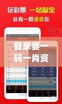管家婆一码一肖资料大全一语中特,精细化解读说明_限定版9.724
