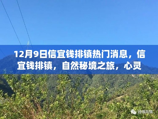 信宜钱排镇,自然秘境的心灵洗涤之旅热门消息揭秘