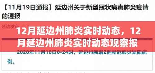 12月延边州肺炎实时动态观察报告,最新进展与趋势分析