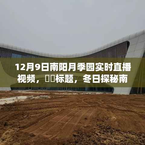 冬日探秘南阳月季园,直播之旅寻找心灵的宁静之地