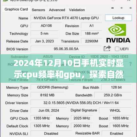探索自然美景之旅,手机实时显示CPU频率与GPU,开启心灵的宁静之门之旅