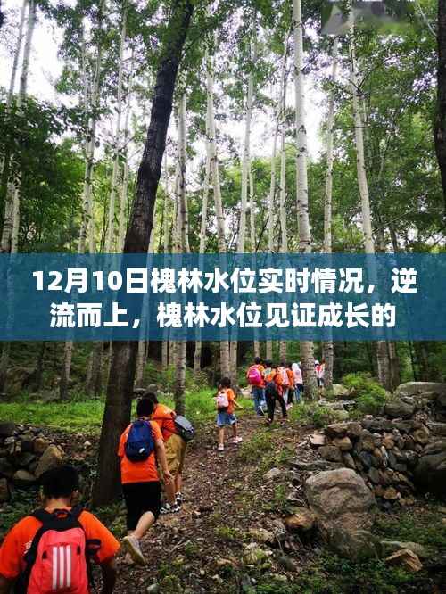 槐林水位逆流而上,见证成长的力量与知识的博弈