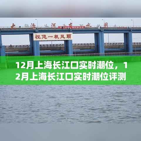 上海长江口潮位实时评测报告，深度解析十二月潮汐动态