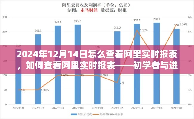 阿里实时报表查看指南,初学者与进阶用户的详细教程(2024年12月14日版)