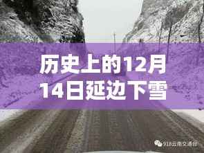 历史上的12月14日延边下雪实况与今日智能天气预报的科技革新