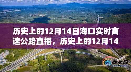 海口实时高速公路直播纪实,历史上的12月14日回顾