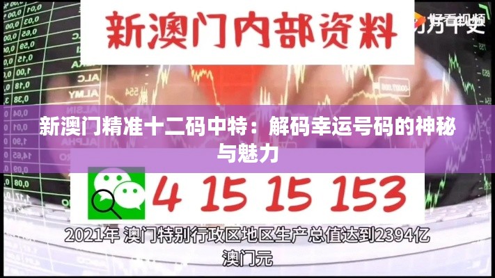新澳门精准十二码中特:解码幸运号码的神秘与魅力