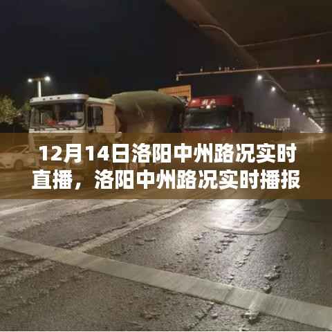 12月14日洛阳中州路况实时播报,聚焦路况动态