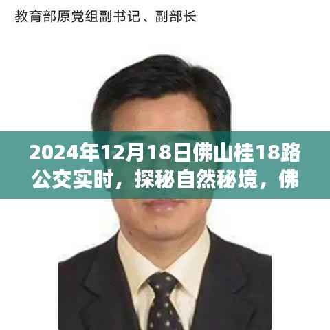 将陋就简 第3页