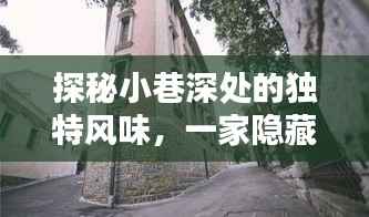 探秘隐藏历史小巷的特色小吃店,独特风味之旅