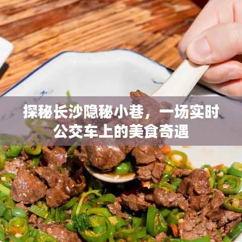 长沙隐秘小巷美食奇遇,实时公交车上的美食探秘之旅