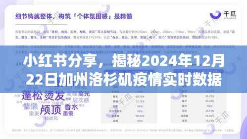 小红书分享,揭秘加州洛杉矶疫情实时数据——2024年12月22日更新