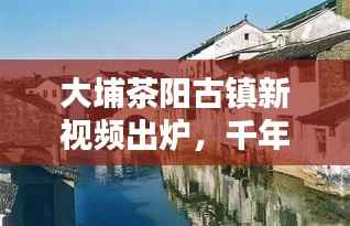 大埔茶阳古镇新视频出炉,千年韵味与活力一览无余