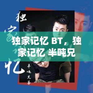 独家记忆 BT,独家记忆 半吨兄弟
