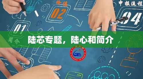 陆芯专题,陆心和简介