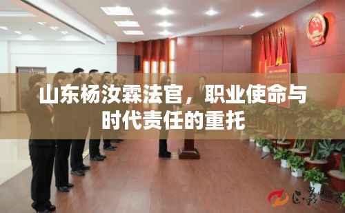 山东杨汝霖法官,职业使命与时代责任的重托