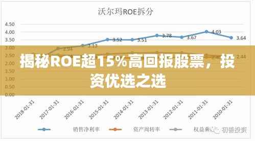 揭秘ROE超15%高回报股票,投资优选之选
