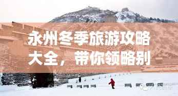 资料中心 第164页