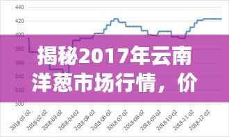 揭秘2017年云南洋葱市场行情,价格走势大解析