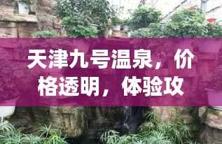 天津九号温泉,价格透明,体验攻略全解析!