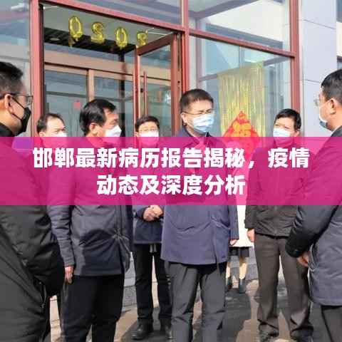 邯郸最新病历报告揭秘,疫情动态及深度分析