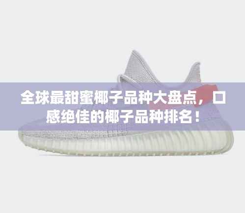 全球最甜蜜椰子品种大盘点,口感绝佳的椰子品种排名!