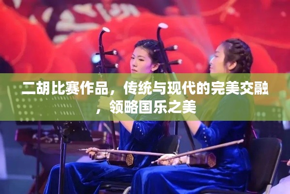 二胡比赛作品,传统与现代的完美交融,领略国乐之美