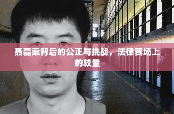 聂磊案背后的公正与挑战,法律赛场上的较量