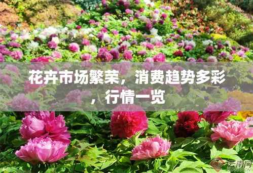 花卉市场繁荣,消费趋势多彩,行情一览