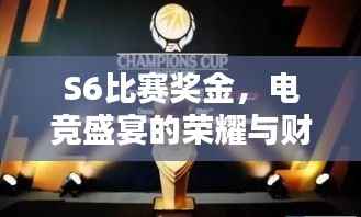 S6比赛奖金,电竞盛宴的荣耀与财富揭秘