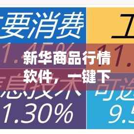新华商品行情软件,一键下载指南