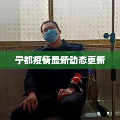 寥若晨星 第2页