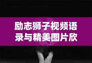 资料中心 第114页