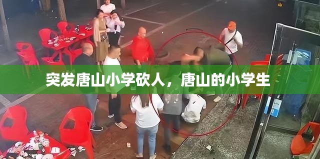 突发唐山小学砍人,唐山的小学生