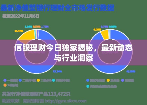 信银理财今日独家揭秘,最新动态与行业洞察