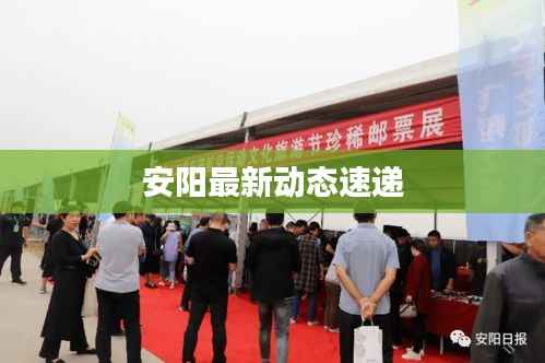 安阳最新动态速递