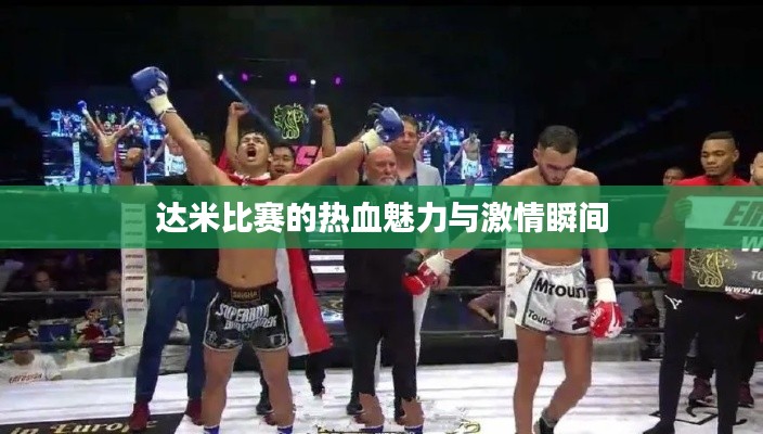 达米比赛的热血魅力与激情瞬间