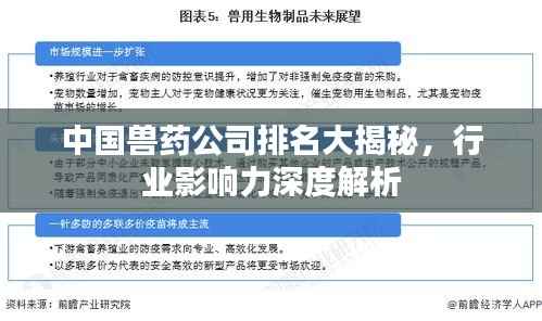 中国兽药公司排名大揭秘,行业影响力深度解析